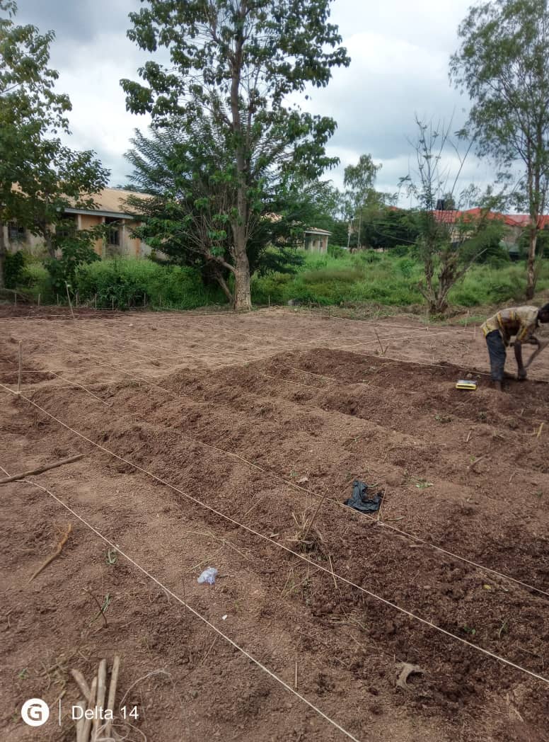 Levitikos Dembure - Research Field Work