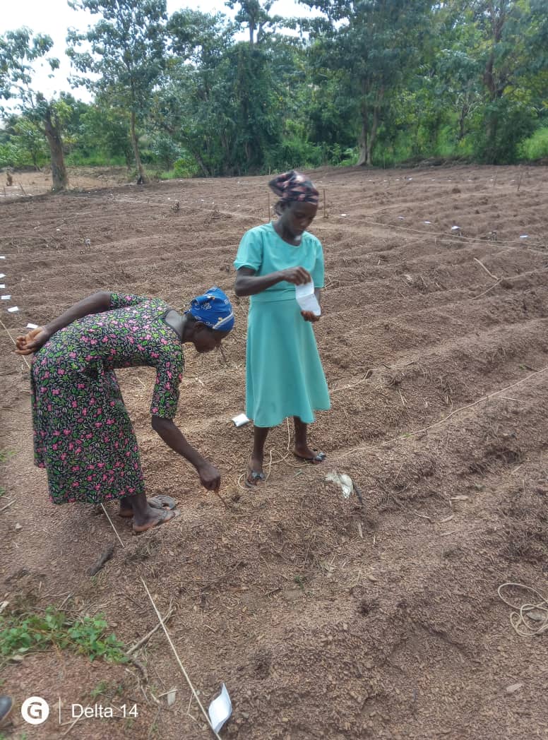 Levitikos Dembure - Research Field Work