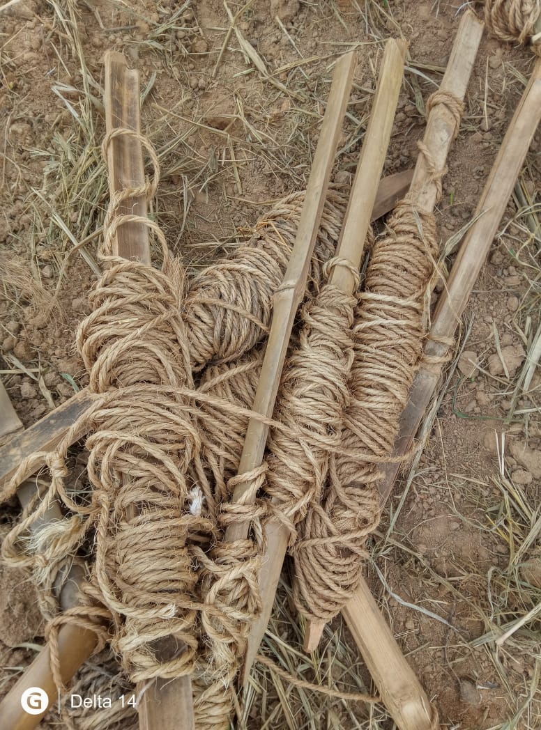 Levitikos Dembure - Research Field Work