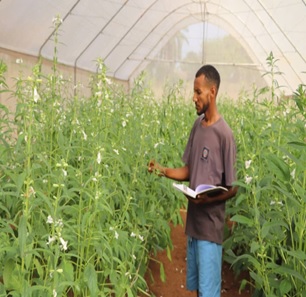 Tsegay Redae Nuguse - Gallery