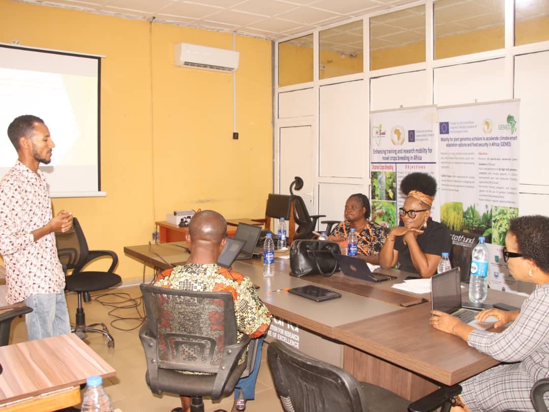 Tsegay Redae Nuguse - Gallery