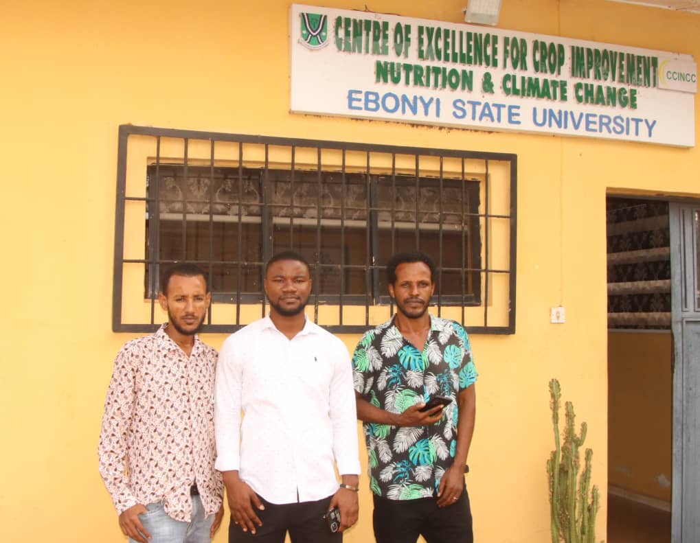 Tsegay Redae Nuguse - Gallery